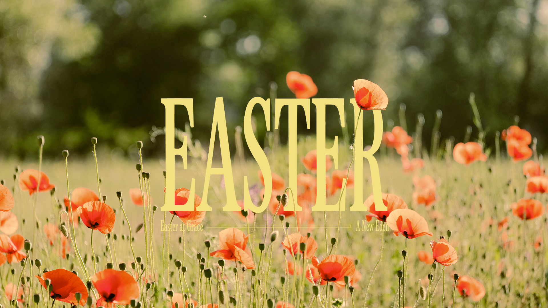 Easter at Grace 2026
